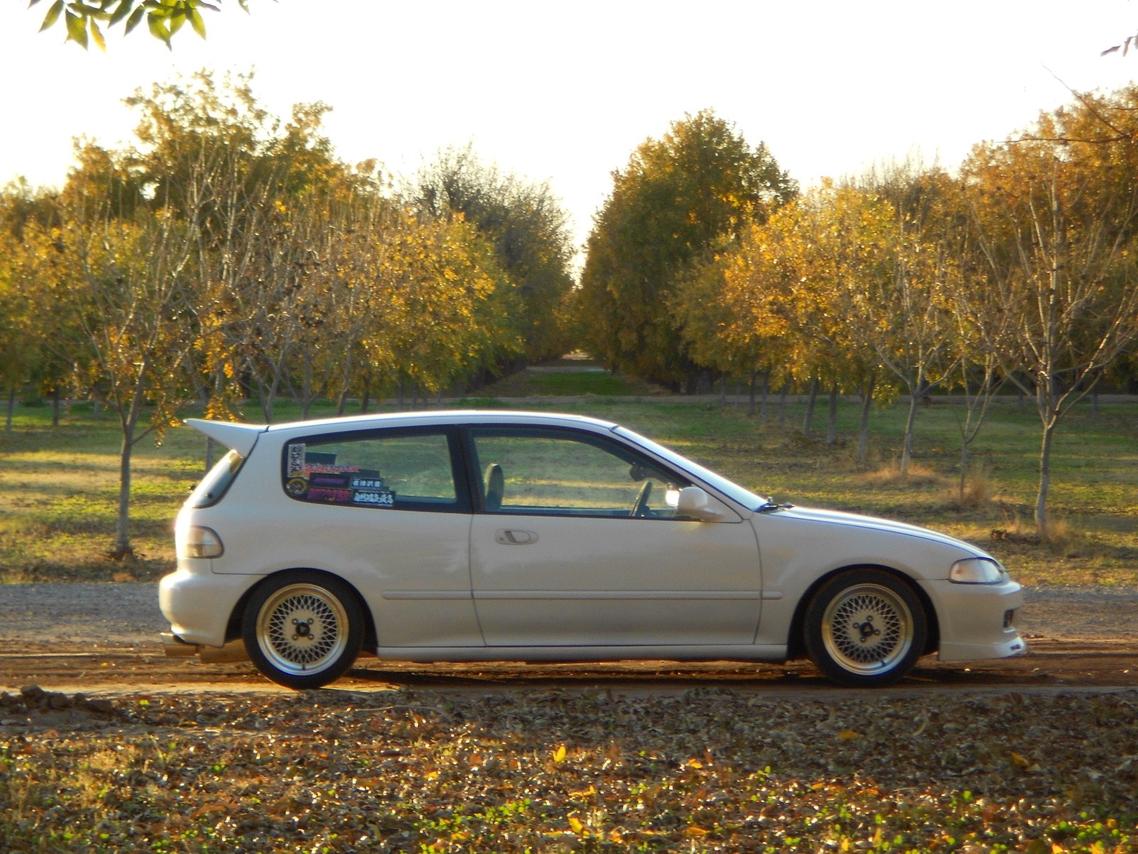 1994 Honda Civic for sale in Casa Grande Arizona