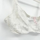 Foto 2 di 6