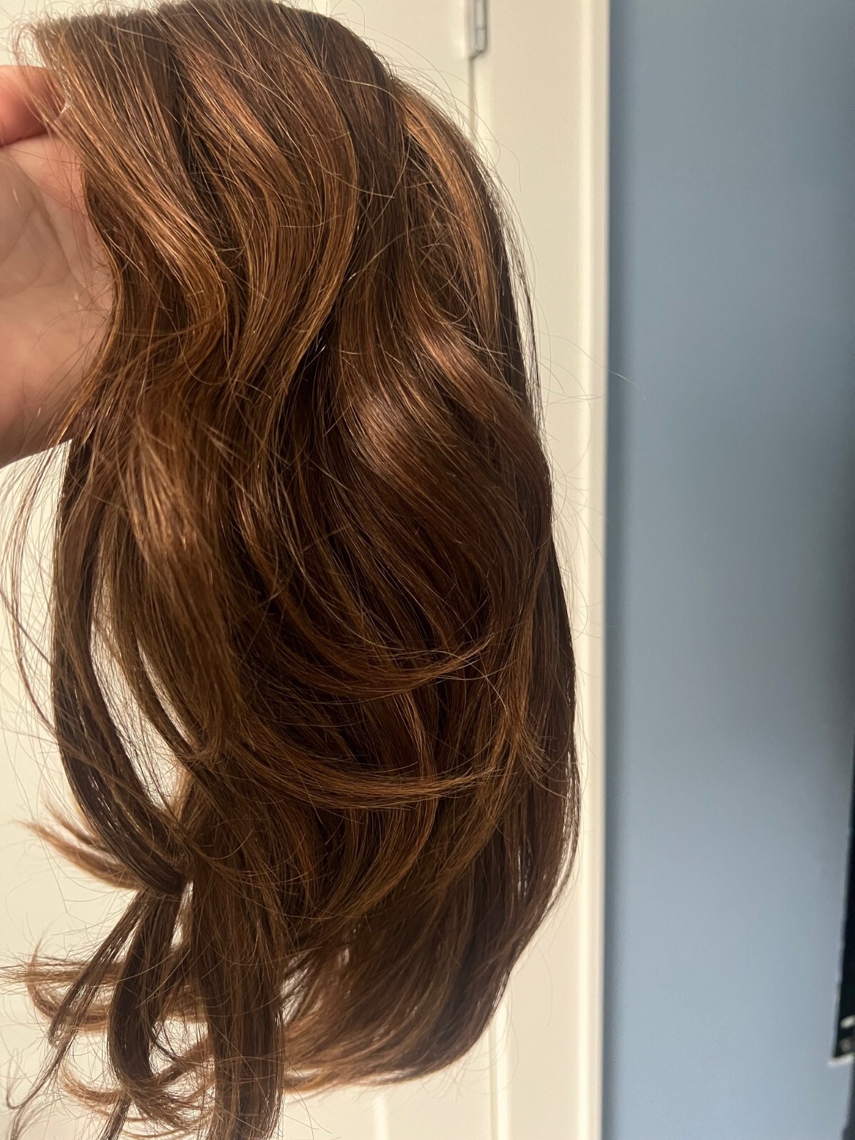 Jon Renau Human Hair Wig Carrie color Toffee Truffle FS6/30/27 eBay