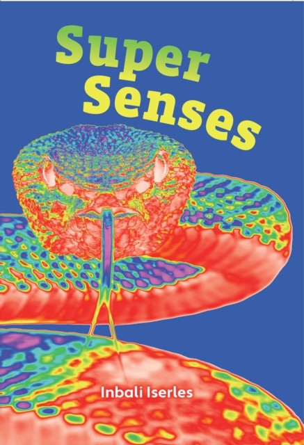 Super Senses Fluency 5 (Paperback Book)