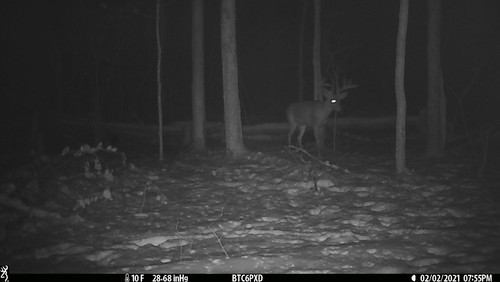 Browning BTC-6PXD Dark Ops Pro XD Trail Camera for sale online