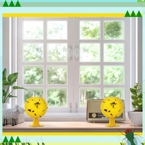 10 Set Fruit Fly Sticky Trap Fungus Gnat Killer Bug Catcher Gnat Trap Insect Tra - Picture 4 of 12