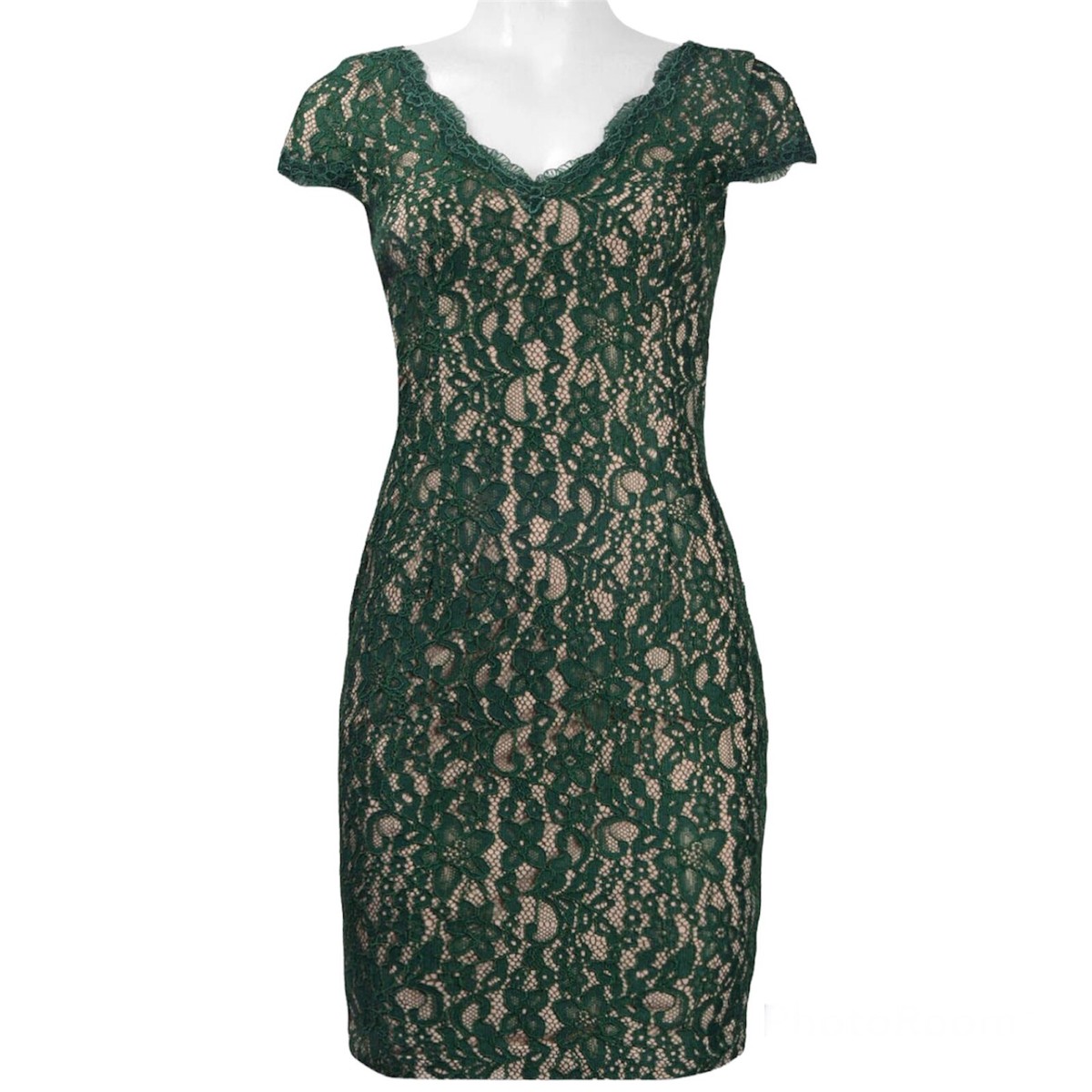 adrianna papell short sleeve lace dress Adrianna Papell AP1E202688 Short Sleeve Slit Back Metallic Lace Dress