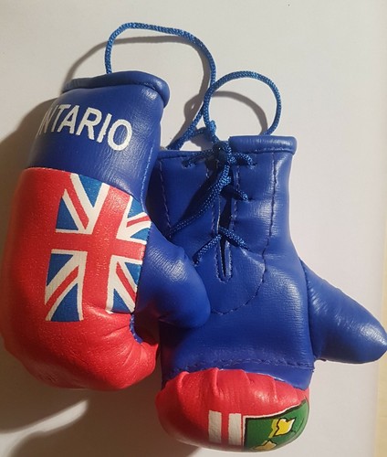 High Quality Country Flag MINI BOXING GLOVES - Rear View Mirror Gloves - New - Picture 4 of 134