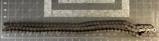 Whitney 40 RP Roller Chain 3 21 Inch Links LB51H 