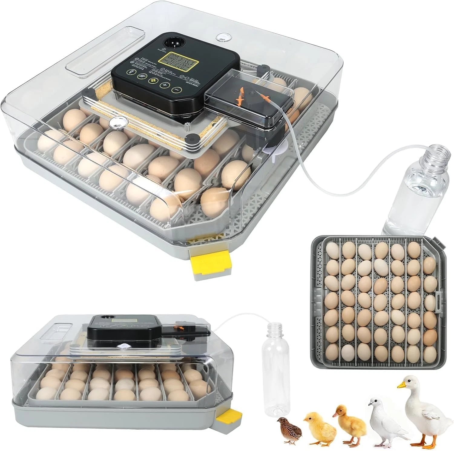 Nest IV 48 Egg Incubator - Fully Automated with Humidity & Temp Control