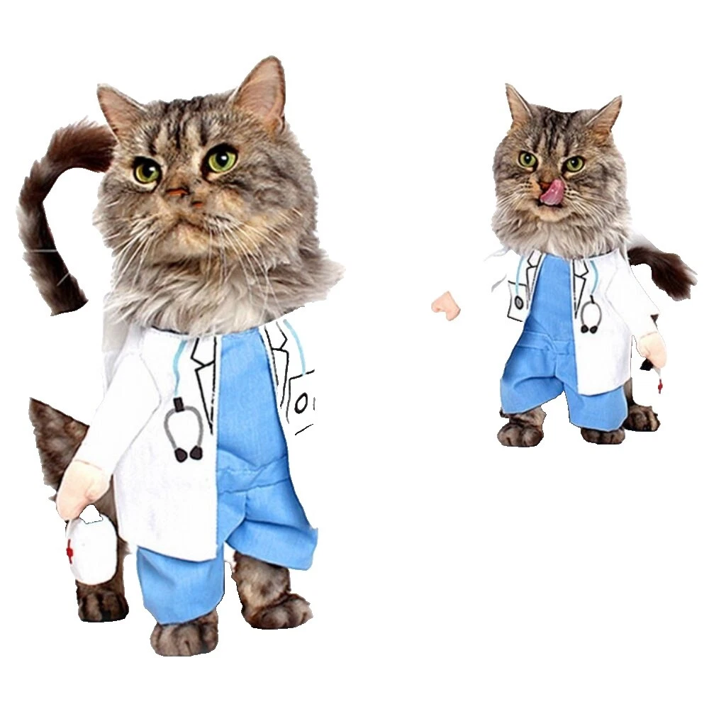 Polyester White Cat Costumes