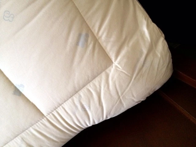 Certified Organic Cotton & Wool Mattress Pad Twin Full King Queen Sleep & Beyond
