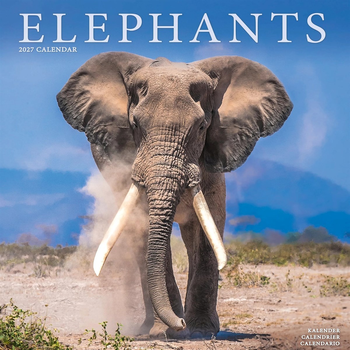 Elephants Calendar 2027, Wall Calendars, Month To View, Animals, Gift
