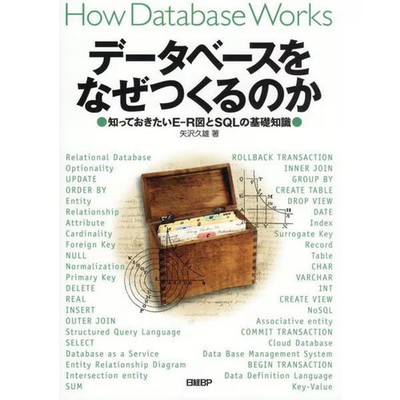 Database Basics E-R Diagram SQL Guide for Beginners Book Very Good For Ages 14+