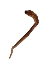 Snake Cane Walking Stick Hand Carved Vintage Unique Decor