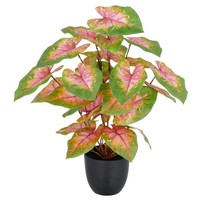 Kunstpflanze Caladium, Farbe GrüN-Rosa, Inkl. Kunststoff-Topf, HöHe Ca. 40 Cm