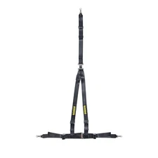 Schroth Racing Rallye 3 BLUE Driver Side 14101