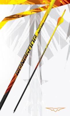 Black Eagle Renegade .204 fletched arrow (6-pk) 300 spine
