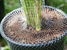 RETE TUBOLARE COLORATA X PIANTE PROTEGGONO DURANTE IL TRASPORTO varie misure 