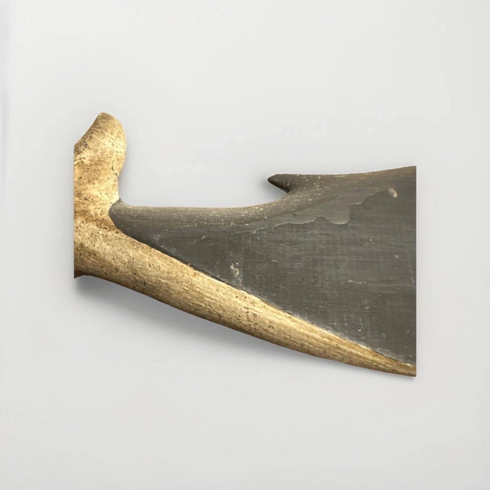 Ballena azul tallada y pintada Clark Voorhees Jr. (color azul RARO) Foto 4 de 4