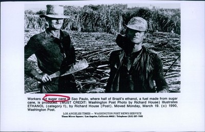 1990 Sugar Cane Workers Sao Paulo Brazil Source Ethanol Business Wirephoto 5x7