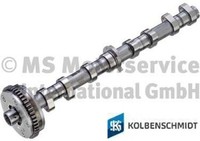 Kolbenschmidt 50007673 Nockenwelle FüR Audi FüR Seat FüR Skoda FüR VW