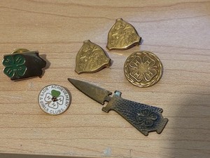 4H 4 H Lot of 6 Marked 1/20 10K Gold Filled Iowa Home Economics LAPEL Pins