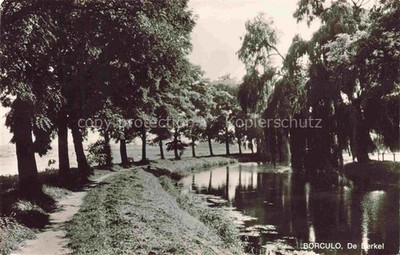 Borculo Berkel NL De-Berkel River Weeping Willow Trees Waterfront Reflection