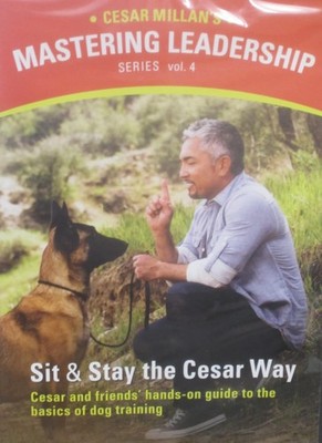 Cesar Millan's Sit and Stay the Cesar Way: Vol. 4 Mastering Leadership Serie...