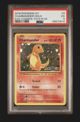 Pokemon Charmander 2016 XY Evolutions Toys R US Cosmos Promo Card 9/108 PSA 5