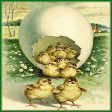 30 Custom Spring Easter Chicks Personalized Address Labels