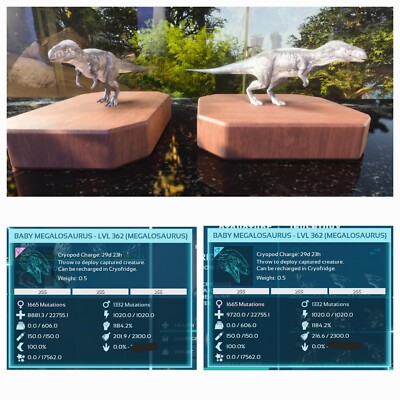 ARK ASA PVE OFFICIAL PAIR BABY MEGALOSAURO WHITE #255 TOP STATUS  PC/XBOX/PS5