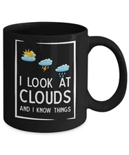 Funny Meteorologist Coffee Mug, Cup, Storm Chaser, Watcher, Weather Forecaster