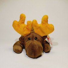 RETIRED Ty Beanie Baby Chocolate the Moose - MULTIPLE TAG ERRORS - RARE - MINT