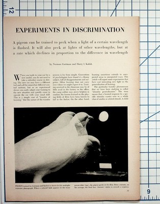 1950s Pigeon Discrimination Experiment Scientific Article Magazine Page