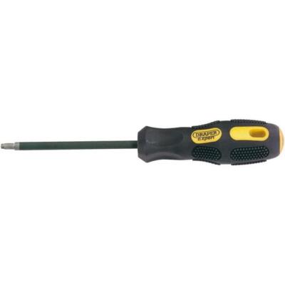 Draper Expert Vierkant-Schraubendreher Nr.2 - S2 x 100 mm