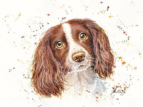 Bree Merryn Sky Spaniel Canvas Cutie
