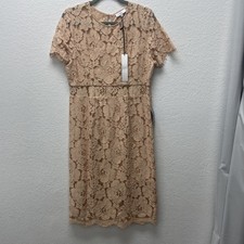 NSR Lace Eyelash Hem Short Sleeve Sheath Midi Womens Dress Champagne L  NWT