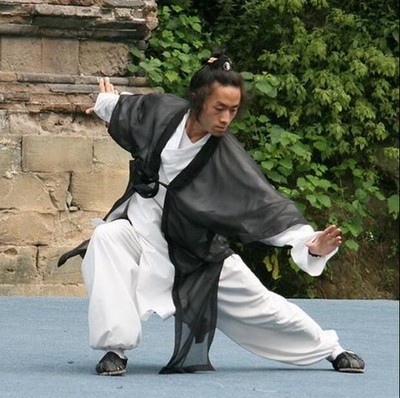 New Chiffon CapeTraditional Kung fu Suit Robes Tai chi Wing Chun Wushu Uniform