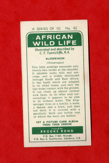 Brooke Bond SOUTHERN RHODESIA/EAST AFRICA AFRICAN WILD LIFE No. 42
