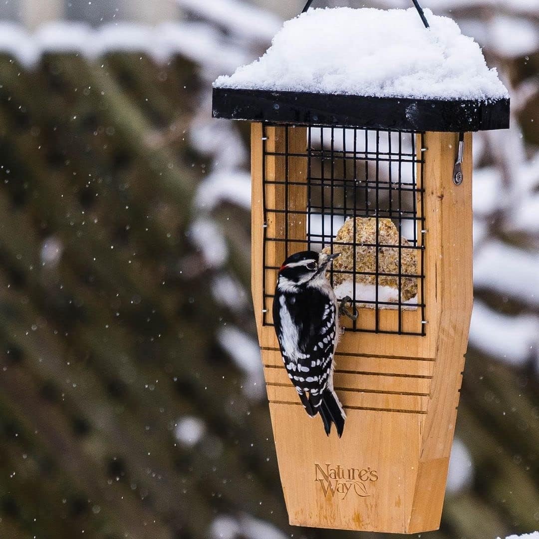 Nature's Way Bird Products CWF1 Tail-prop Suet Bird Feeder 12"H x 7.875"L x 3...