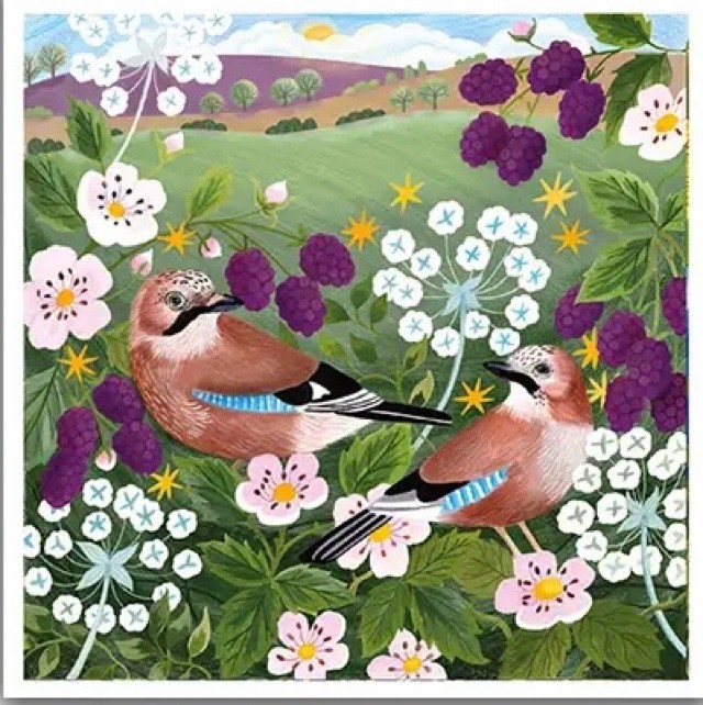 Pair of Jays Birds  Fine Art Blank Greeting / Birthday Card Wild Flowers Bird