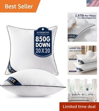 20x20 Pillow Inserts 2 Pack, Down Alternative Throw Pillows