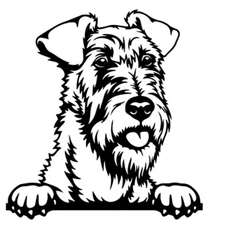 Irish Terrier Black Vinyl Graphic Decal Car Window Laptop Tablet Tumbler Mugs