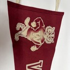 Vintage 1950’s  Wisconsin Badgers Madison University Pennant 11x29 Inch Big Ten — photo 3
