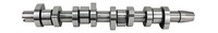Nockenwelle AE CAM968 FüR 1K1 2KB 2CJ Caddy 2KJ 2CB Golf VW Stahl 3 2KA 2KH 2CA