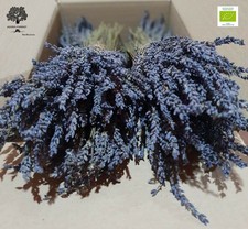 Greek Dried Lavender Bunch 6600 stems 300 22 Bunches 30-32cm Organic Harvest 25