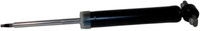 Ford ASH-24572 Motorcraft Hinter Fahrer Oder Beifahrer Seite Shock Absorber