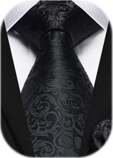 Ties for Men Paisley Tie and Pocket Square Woven Classic Floral Mens Ties Handke