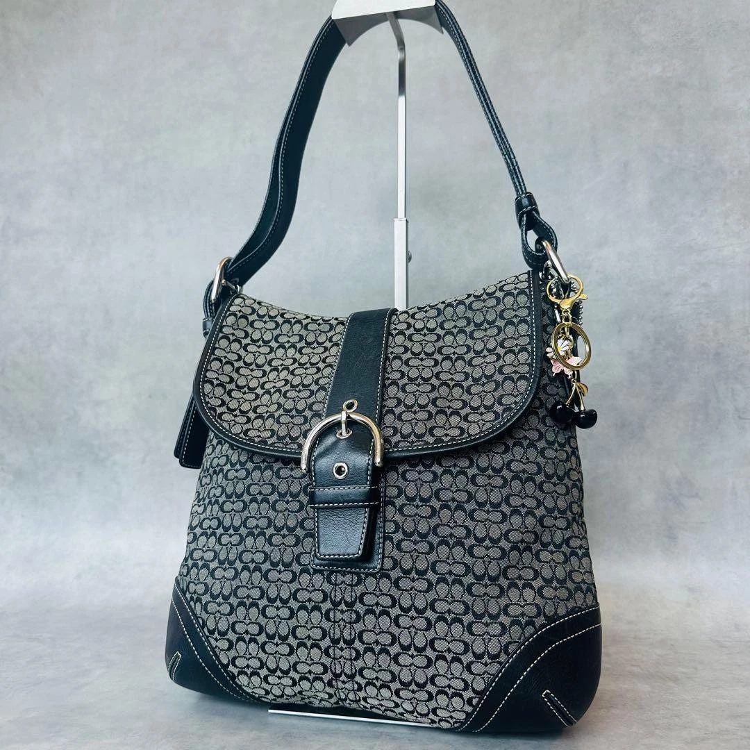 Coach Women's Bags & Gucci Soho for sale - eBay