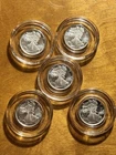 Lot of Five (5) - 1/10th Troy Ounce .999 Silver Walking Liberty Rounds
