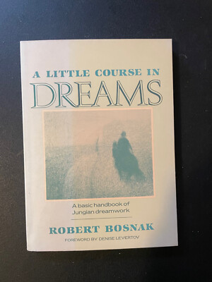 A Little Course in Dreams by Michael H. Kohn and Robert Bosnak (1988, Trade...