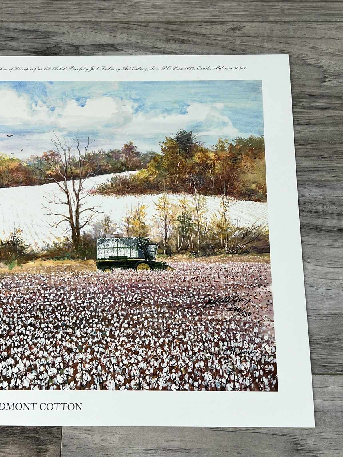 Jack Deloney Signed Water Color Print "Piedmont Cotton" 246 of 950