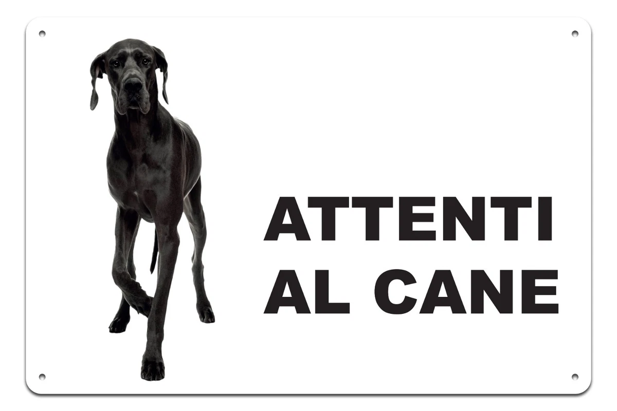 2 Cartelli PVC "ATTENTI Al Cane" 16x16 Cm - Rettangolare Con 4 Fori Per Appensione